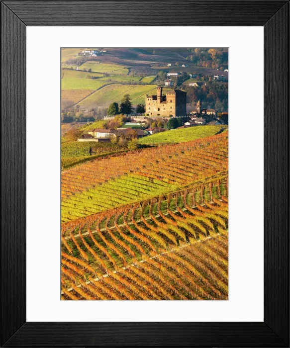 Framed Print : Grinzane Cavour and coloured vineyards at sunrise during autumn, Cuneo, Langhe and Roero, Piedmont, Italy, Southern Europe Framed Print : Grinzane Cavour and coloured vineyards at sunrise during autumn, Cuneo, Langhe and Roero, Piedmont, Italy, Southern Europe