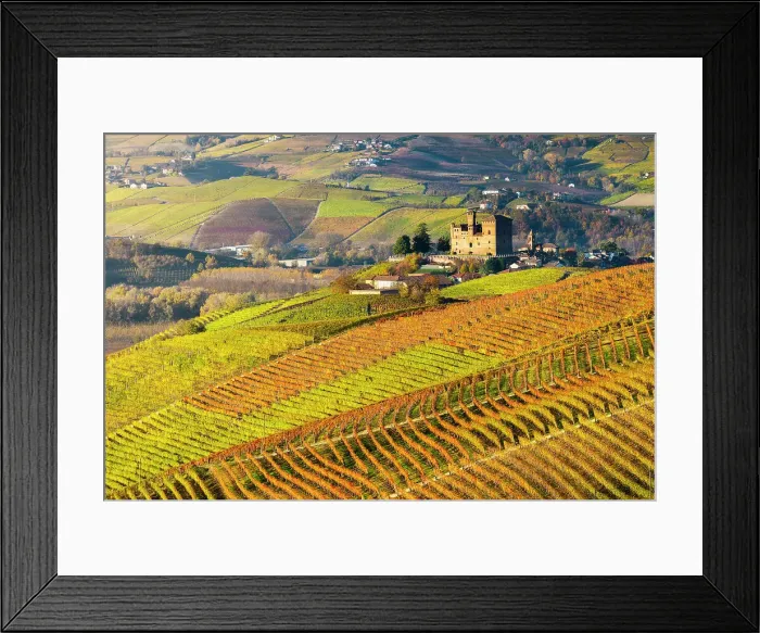 Framed Print : Grinzane Cavour and coloured vineyards at sunrise during autumn, Cuneo, Langhe and Roero, Piedmont, Italy, Southern Europe Framed Print : Grinzane Cavour and coloured vineyards at sunrise during autumn, Cuneo, Langhe and Roero, Piedmont, Italy, Southern Europe