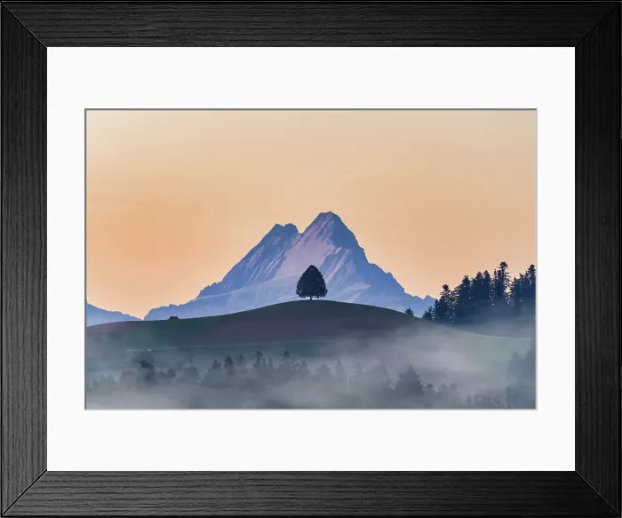 Framed Print : Schreckhorn peak framed by an isolated tree on hill at sunrise, Sumiswald, Emmental, canton of Bern, Switzerland Framed Print : Schreckhorn peak framed by an isolated tree on hill at sunrise, Sumiswald, Emmental, canton of Bern, Switzerland