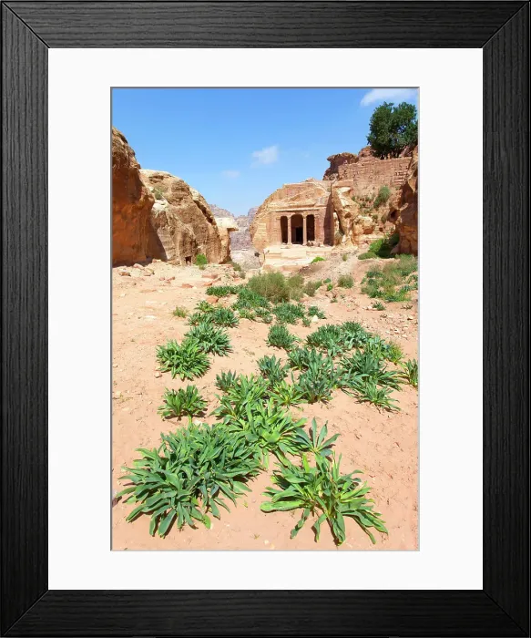 Framed Print : The Garden Tomb in the archaeological site of Petra, Jordan, Middle East. Recognized as a UNESCO World Heritage Site in 1985