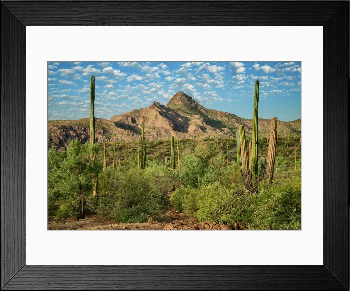 Framed Print : Mexico, Baja California, Loreto, Sierra Framed Print : Mexico, Baja California, Loreto, Sierra