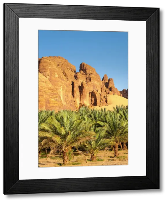 Framed Print : Date palms in the Oasis of Al-Ula, Medina Province, Saudi Arabia Framed Print : Date palms in the Oasis of Al-Ula, Medina Province, Saudi Arabia