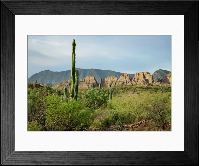 Framed Print : Mexico, Baja California, Loretio