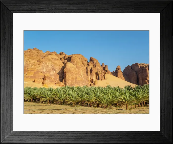 Framed Print : Date palms in the Oasis of Al-Ula, Medina Province, Saudi Arabia Framed Print : Date palms in the Oasis of Al-Ula, Medina Province, Saudi Arabia