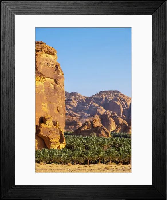 Framed Print : Date palms in the Oasis of Al-Ula, Medina Province, Saudi Arabia Framed Print : Date palms in the Oasis of Al-Ula, Medina Province, Saudi Arabia