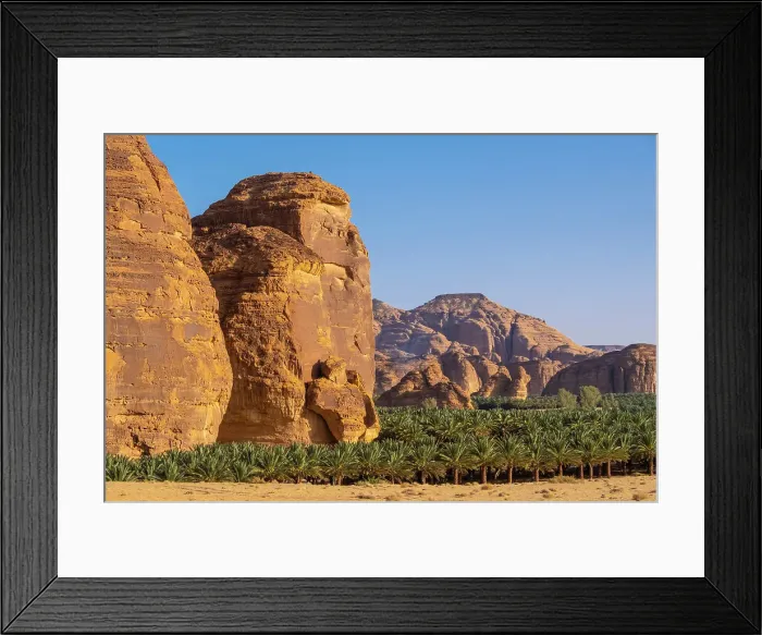 Framed Print : Date palms in the Oasis of Al-Ula, Medina Province, Saudi Arabia Framed Print : Date palms in the Oasis of Al-Ula, Medina Province, Saudi Arabia