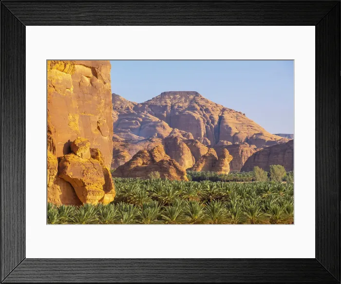 Framed Print : Date palms in the Oasis of Al-Ula, Medina Province, Saudi Arabia Framed Print : Date palms in the Oasis of Al-Ula, Medina Province, Saudi Arabia