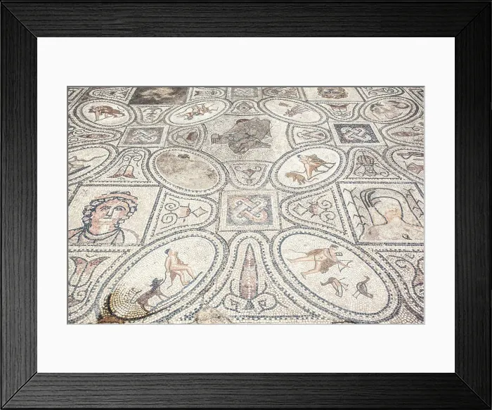 Framed Print : The floor mosaic representiong the Exploits of Hercules in the ancient Roman ruins of Volubilis, near Meknes, Morocco Framed Print : The floor mosaic representiong the Exploits of Hercules in the ancient Roman ruins of Volubilis, near Meknes, Morocco