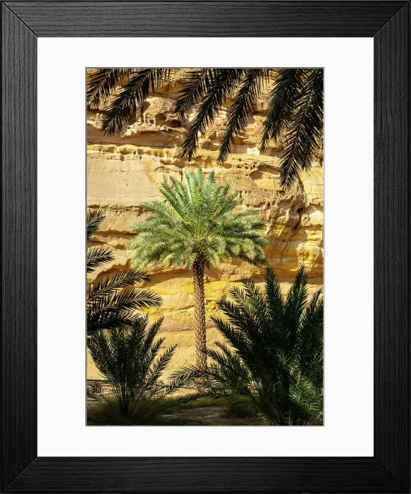 Framed Print : Date palms in the Oasis of Al-Ula, Medina Province, Saudi Arabia Framed Print : Date palms in the Oasis of Al-Ula, Medina Province, Saudi Arabia