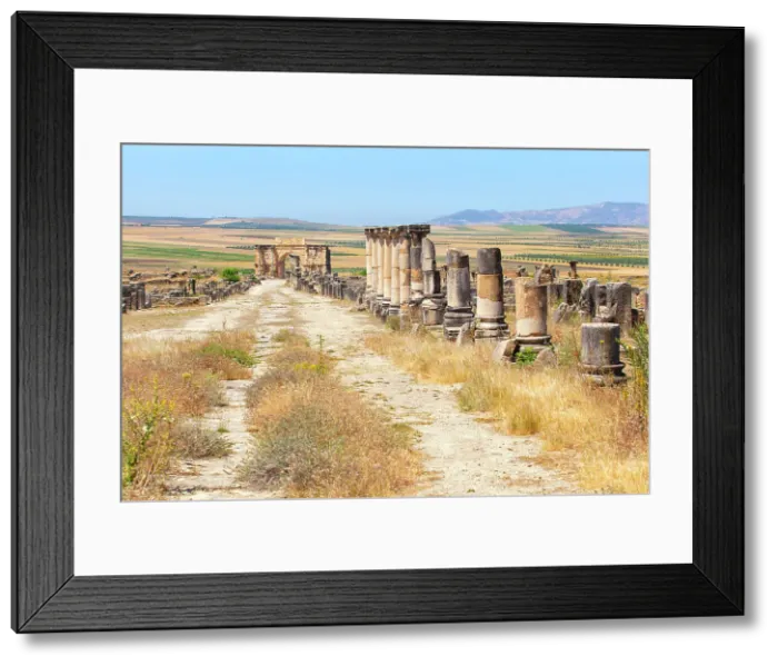 Framed Print : The main road (Decumanus Maximus) of the ancient Roman ruins of Volubilis, near Meknes, Morocco Framed Print : The main road (Decumanus Maximus) of the ancient Roman ruins of Volubilis, near Meknes, Morocco