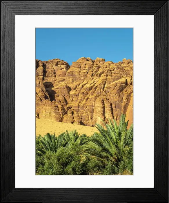 Framed Print : Date palms in the Oasis of Al-Ula, Medina Province, Saudi Arabia Framed Print : Date palms in the Oasis of Al-Ula, Medina Province, Saudi Arabia