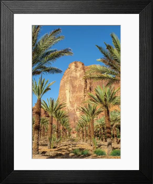 Framed Print : Date palms in the Oasis of Al-Ula, Medina Province, Saudi Arabia Framed Print : Date palms in the Oasis of Al-Ula, Medina Province, Saudi Arabia