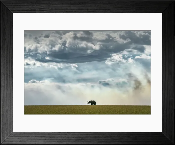 Framed Print : Elephant silhouette in the Maasai Mara, Kenya Framed Print : Elephant silhouette in the Maasai Mara, Kenya