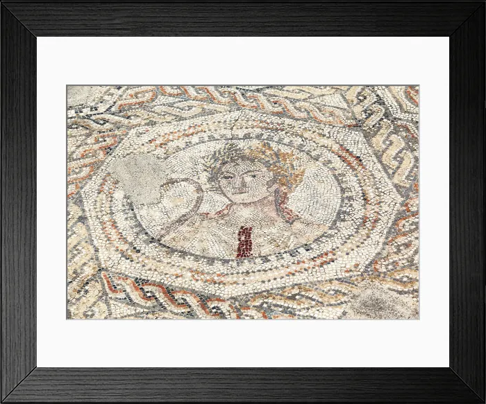 Framed Print : A floor mosaic in the ancient Roman ruins of Volubilis, near Meknes, Morocco Framed Print : A floor mosaic in the ancient Roman ruins of Volubilis, near Meknes, Morocco
