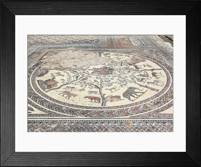 Framed Print : The floor mosaic inside the Orpheus House of the ancient Roman ruins of Volubilis, near Meknes, Morocco Framed Print : The floor mosaic inside the Orpheus House of the ancient Roman ruins of Volubilis, near Meknes, Morocco