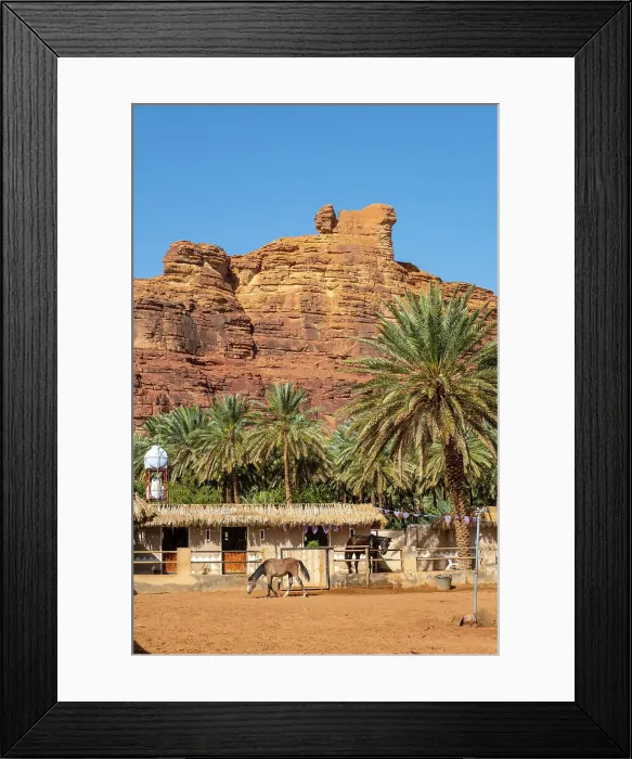 Framed Print : Stables & Date palms in the Oasis of Al-Ula, Medina Province, Saudi Arabia Framed Print : Stables & Date palms in the Oasis of Al-Ula, Medina Province, Saudi Arabia