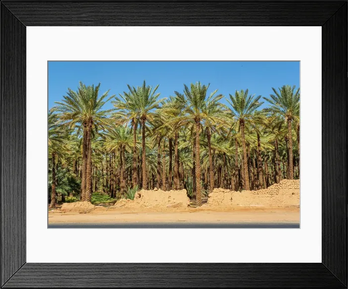 Framed Print : Date palms in the Oasis of Al-Ula, Medina Province, Saudi Arabia Framed Print : Date palms in the Oasis of Al-Ula, Medina Province, Saudi Arabia
