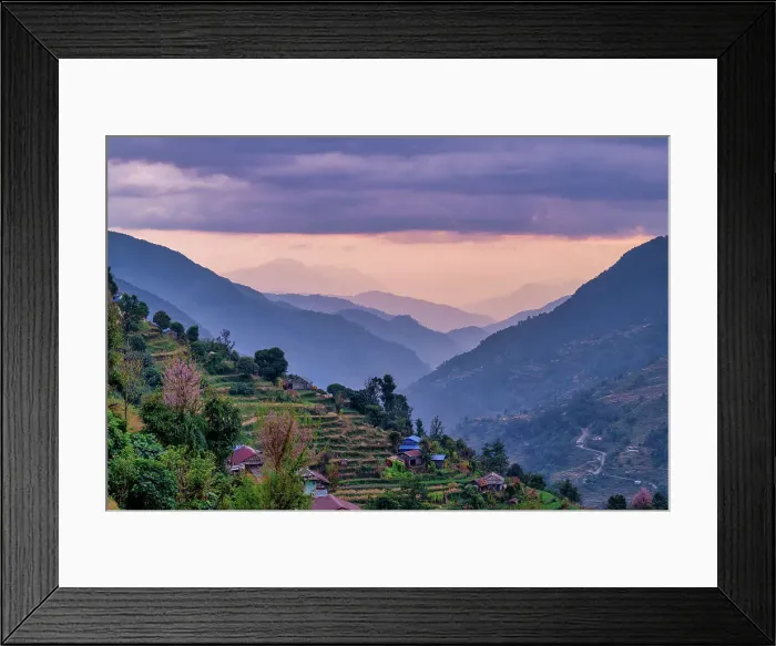 Framed Print : Rice Terraces in Landruk Valley at Sunset, Landruk, Nepal, Asia Framed Print : Rice Terraces in Landruk Valley at Sunset, Landruk, Nepal, Asia
