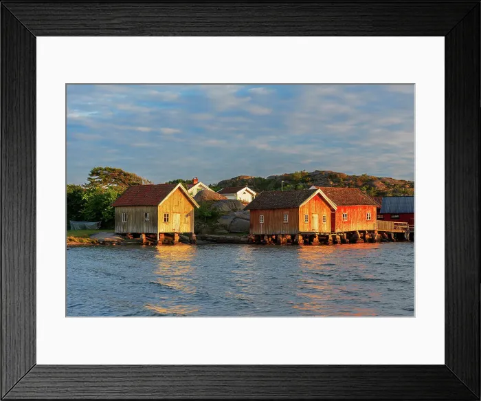 Framed Print : Colored and old fishing houses lit by sunset, Bohuslan, Sweden, Scandinavia Framed Print : Colored and old fishing houses lit by sunset, Bohuslan, Sweden, Scandinavia