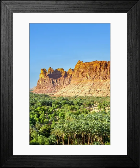 Framed Print : Date palms in the Oasis of Al-Ula, Medina Province, Saudi Arabia Framed Print : Date palms in the Oasis of Al-Ula, Medina Province, Saudi Arabia