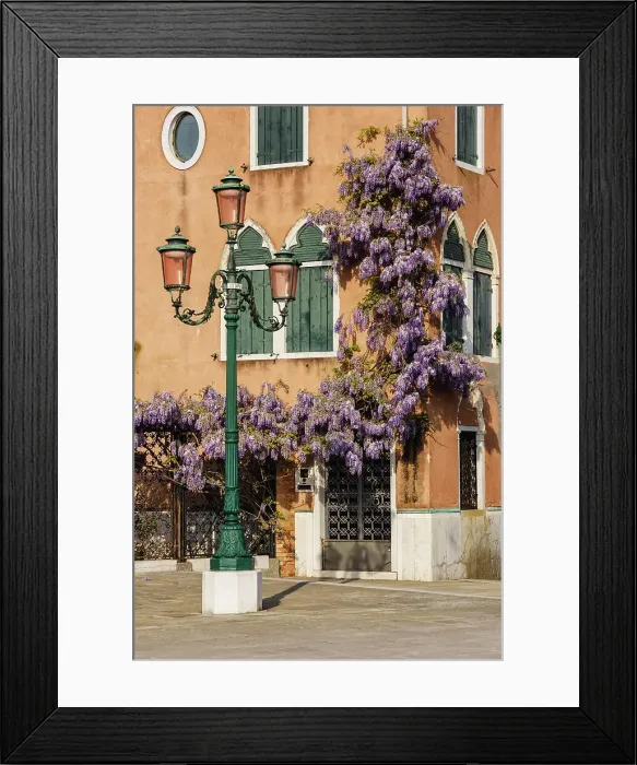 Framed Print : Wisteria in Riva dei Sette Martiri. Venice, Veneto, Italy Framed Print : Wisteria in Riva dei Sette Martiri. Venice, Veneto, Italy
