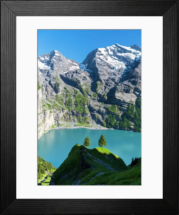 Framed Print : Two tall trees on the alpine landscape surrounding Oeschinensee lake, Bernese Oberland, Kandersteg, Switzerland Framed Print : Two tall trees on the alpine landscape surrounding Oeschinensee lake, Bernese Oberland, Kandersteg, Switzerland