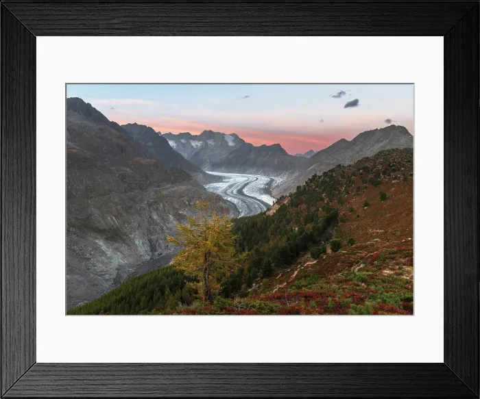 Framed Print : Dusk above the Aletsch glacier seen from Hohfluh viewpoint, Riederalp, Bernese Alps, Valais canton, Switzerland Framed Print : Dusk above the Aletsch glacier seen from Hohfluh viewpoint, Riederalp, Bernese Alps, Valais canton, Switzerland