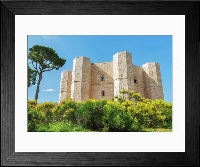 Framed Print : Low angle view of the white castle of Castel del Monte among yellow flower, UNESCO World Heritage Site, Castel del Monte, Apulia, Italy Framed Print : Low angle view of the white castle of Castel del Monte among yellow flower, UNESCO World Heritage Site, Castel del Monte, Apulia, Italy