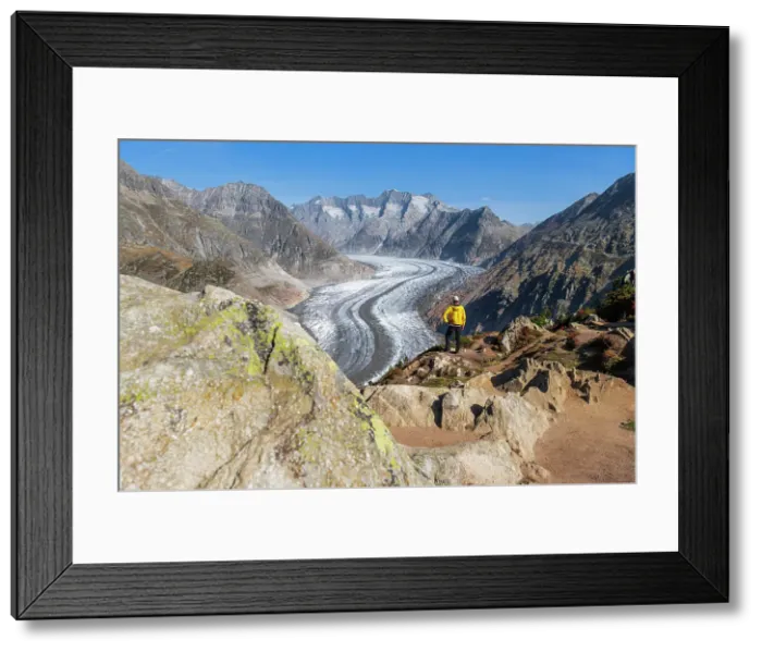 Framed Print : Man standing on top of a rock observing the alpine landscape of the Aletsch glacier, Moosfluh, Bernese Alps, Valais canton, Switzerland (MR) Framed Print : Man standing on top of a rock observing the alpine landscape of the Aletsch glacier, Moosfluh, Bernese Alps, Valais canton, Switzerland (MR)