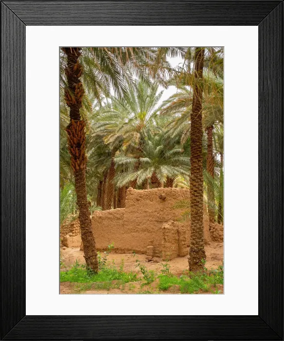 Framed Print : Date palms in the Oasis of Al-Ula, Medina Province, Saudi Arabia Framed Print : Date palms in the Oasis of Al-Ula, Medina Province, Saudi Arabia