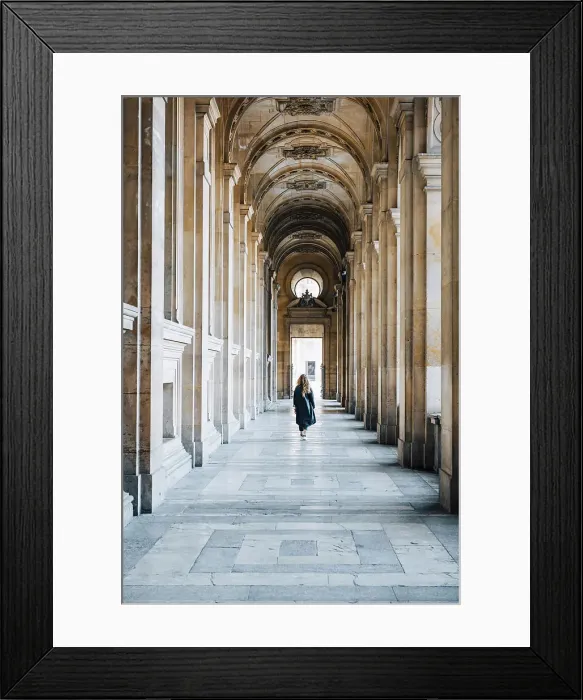 Framed Print : Louvre museum, Paris, Ile de France, France Framed Print : Louvre museum, Paris, Ile de France, France