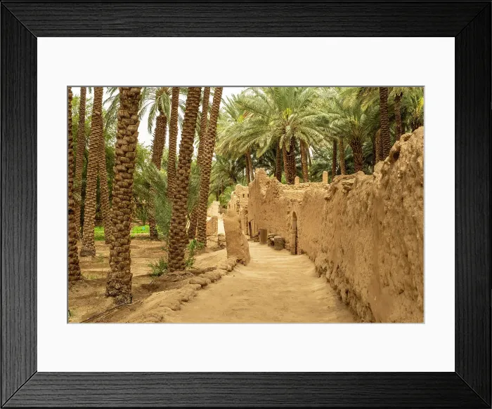 Framed Print : Date palms in the Oasis of Al-Ula, Medina Province, Saudi Arabia Framed Print : Date palms in the Oasis of Al-Ula, Medina Province, Saudi Arabia