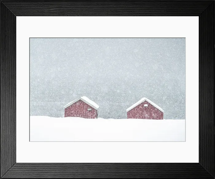 Framed Print : Snow storm over traditional red cabins by the sea, Troms county, Norway Framed Print : Snow storm over traditional red cabins by the sea, Troms county, Norway