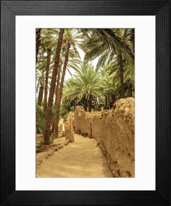Framed Print : Date palms in the Oasis of Al-Ula, Medina Province, Saudi Arabia Framed Print : Date palms in the Oasis of Al-Ula, Medina Province, Saudi Arabia