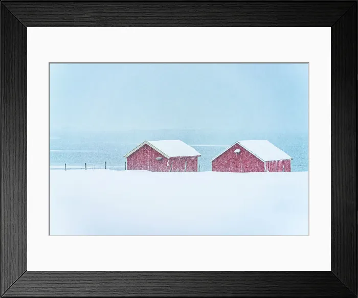 Framed Print : Snow storm over traditional red cabins by the frozen sea, Troms county, Norway Framed Print : Snow storm over traditional red cabins by the frozen sea, Troms county, Norway