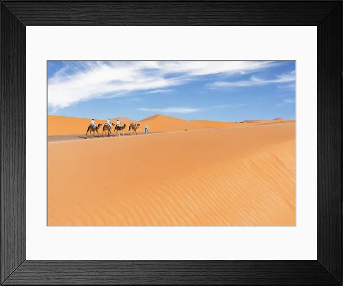 Framed Print : Tourist camel caravan going through Sahara Desert, Erg Chebbi, Merzouga, Morocco Framed Print : Tourist camel caravan going through Sahara Desert, Erg Chebbi, Merzouga, Morocco
