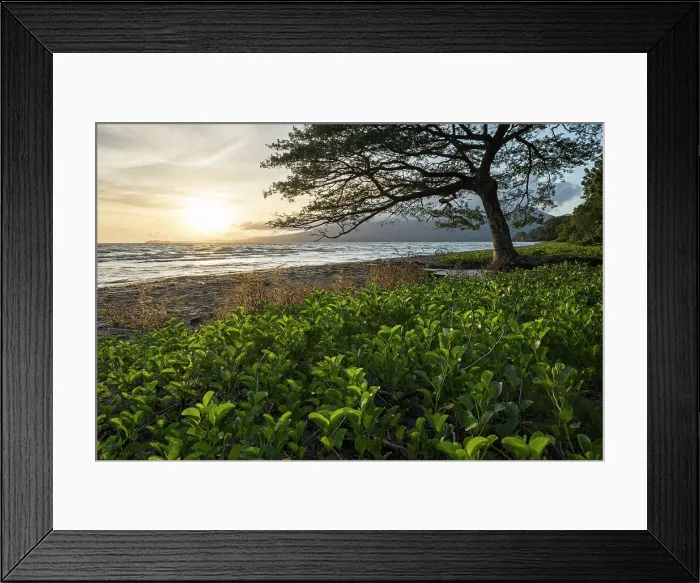 Framed Print : San Fernando Beach, Ometepe Island, Rivas State, Nicaragua, Central America Framed Print : San Fernando Beach, Ometepe Island, Rivas State, Nicaragua, Central America