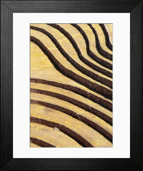 Framed Print : Abstract of terraces in Moray, Sacred Valley, Urubamba Province, Cusco Region, Peru Framed Print : Abstract of terraces in Moray, Sacred Valley, Urubamba Province, Cusco Region, Peru