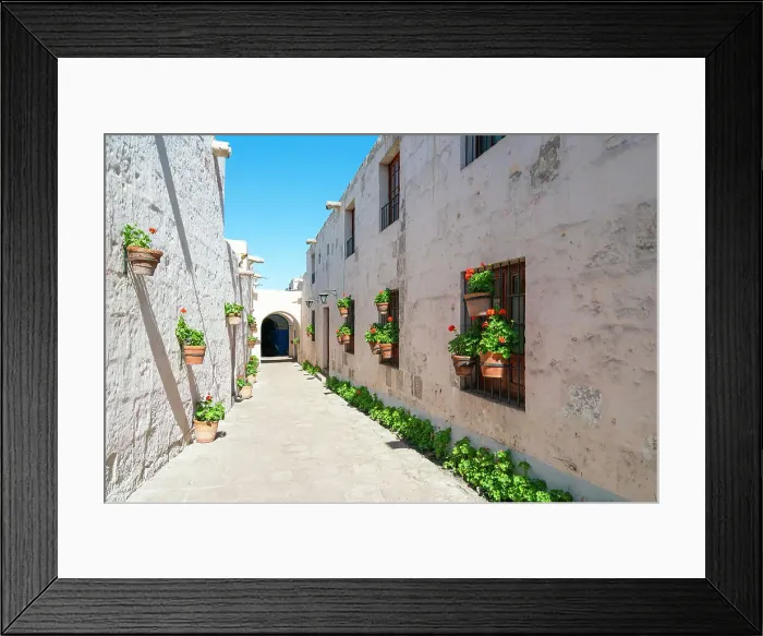 Framed Print : Passageway with plants at Monastery of Santa Catalina de Siena, UNESCO, Arequipa, Arequipa Province, Arequipa Region, Peru Framed Print : Passageway with plants at Monastery of Santa Catalina de Siena, UNESCO, Arequipa, Arequipa Province, Arequipa Region, Peru