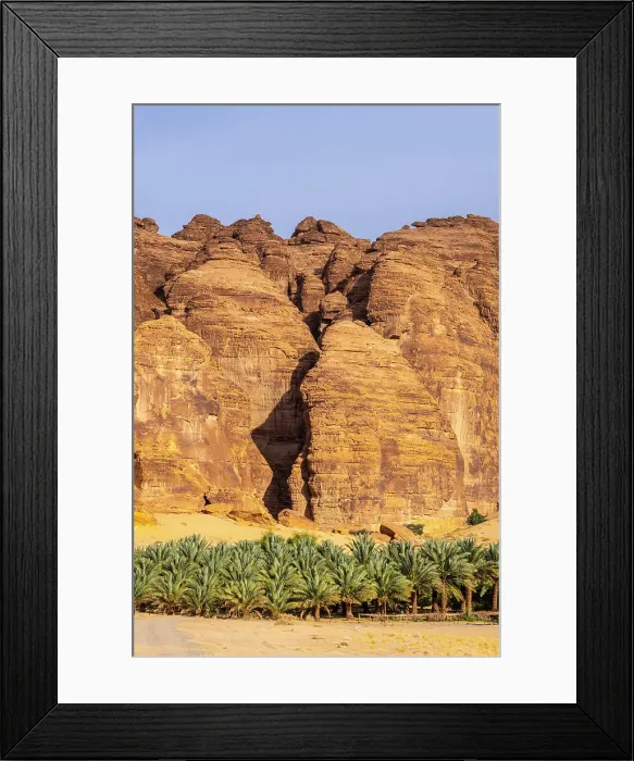Framed Print : Date palms in the Oasis of Al-Ula, Medina Province, Saudi Arabia Framed Print : Date palms in the Oasis of Al-Ula, Medina Province, Saudi Arabia
