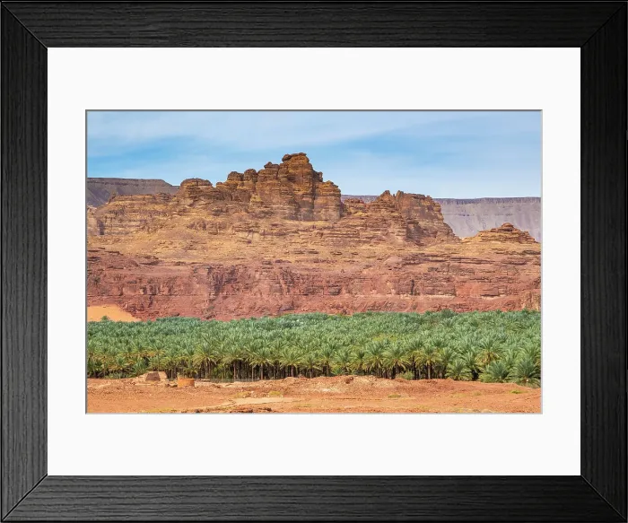 Framed Print : Date palms in the Oasis of Al-Ula, Medina Province, Saudi Arabia Framed Print : Date palms in the Oasis of Al-Ula, Medina Province, Saudi Arabia