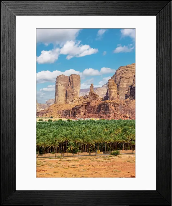 Framed Print : Date palms in the Oasis of Al-Ula, Medina Province, Saudi Arabia Framed Print : Date palms in the Oasis of Al-Ula, Medina Province, Saudi Arabia