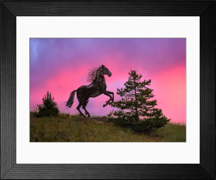 Framed Print : USA, Rockies, Montana, Pony, Bleu Horses, Sculpture by Jim Dolan Framed Print : USA, Rockies, Montana, Pony, Bleu Horses, Sculpture by Jim Dolan