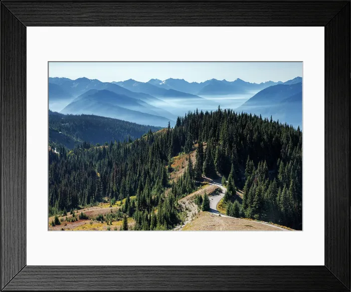 Framed Print : Beautiful view over a trail and mountain range at Hurricane Ridge, Olympic National Park, Washington State, USA Framed Print : Beautiful view over a trail and mountain range at Hurricane Ridge, Olympic National Park, Washington State, USA