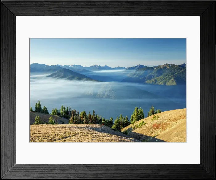 Framed Print : Beautiful mist over mountain range Hurricane Ridge, Olympic National Park, Washington State, USA Framed Print : Beautiful mist over mountain range Hurricane Ridge, Olympic National Park, Washington State, USA