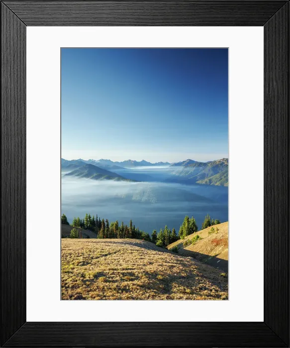 Framed Print : Beautiful mist over mountain range Hurricane Ridge, Olympic National Park, Washington State, USA Framed Print : Beautiful mist over mountain range Hurricane Ridge, Olympic National Park, Washington State, USA
