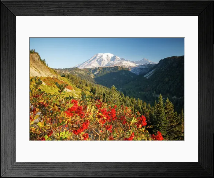 Framed Print : Mount Rainier, Mount Rainier National Park, Washington, USA Framed Print : Mount Rainier, Mount Rainier National Park, Washington, USA