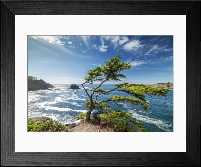 Framed Print : Cape Flattery, Neah Bay, Makah Indian Reservation, Olympic National Park, Washington, USA Framed Print : Cape Flattery, Neah Bay, Makah Indian Reservation, Olympic National Park, Washington, USA