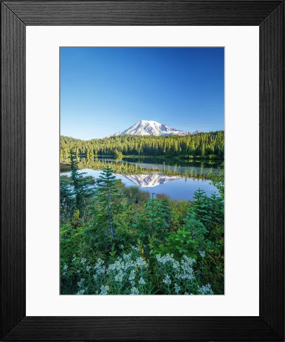 Framed Print : Mount Rainier reflecting in Reflection Lake, Mount Rainier National Park, Washington, USA Framed Print : Mount Rainier reflecting in Reflection Lake, Mount Rainier National Park, Washington, USA