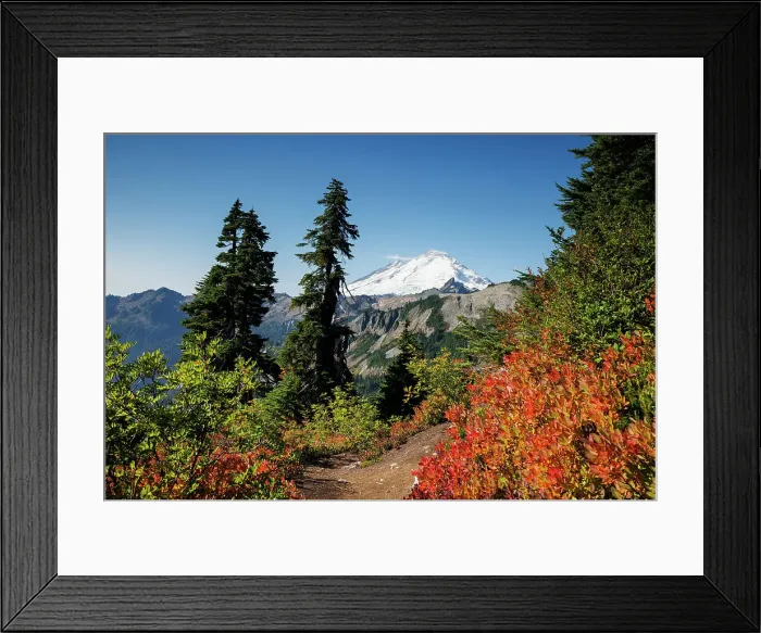 Framed Print : View of the snow capped Mount Baker with beautiful autumn foliage in North Cascades National Park, Washington, USA Framed Print : View of the snow capped Mount Baker with beautiful autumn foliage in North Cascades National Park, Washington, USA